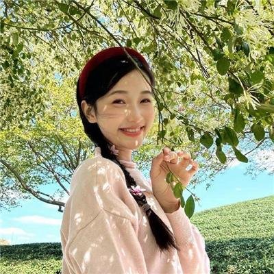 双生杀手 封面